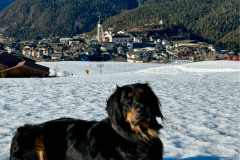 Kira_kastelruth_schnee