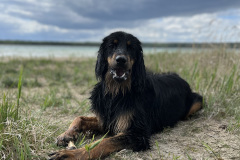 kira_nass_am_wasser