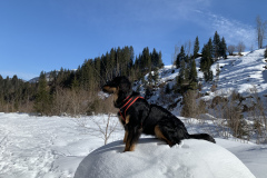 kira_schnee_stein