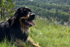 kira_vor_der_burg